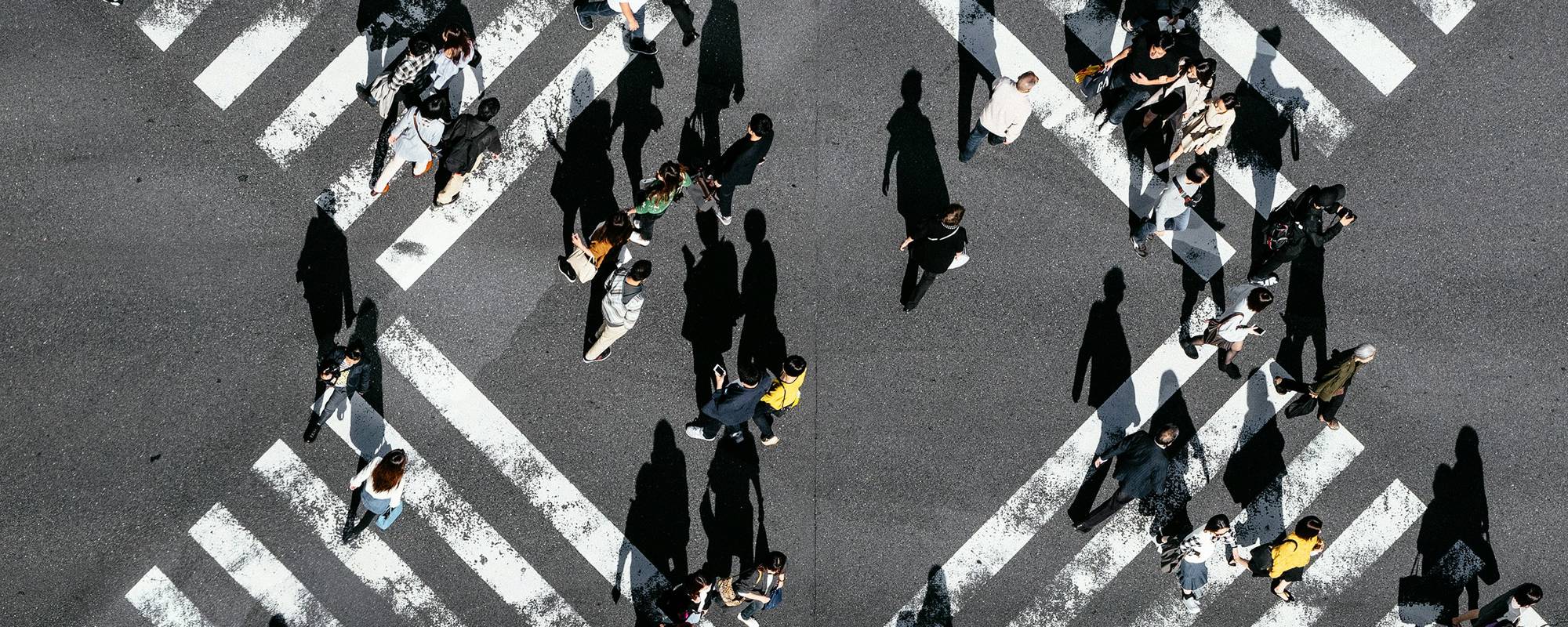 Ryoji Iwata Trjjpc0wss0 Unsplash